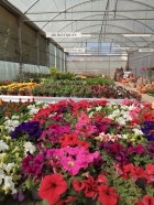 Centre de jardineria del Ter
